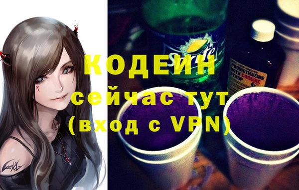 соль ск Кодинск