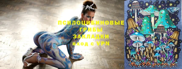 первитин Козельск
