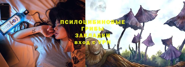 стафф Барнаул