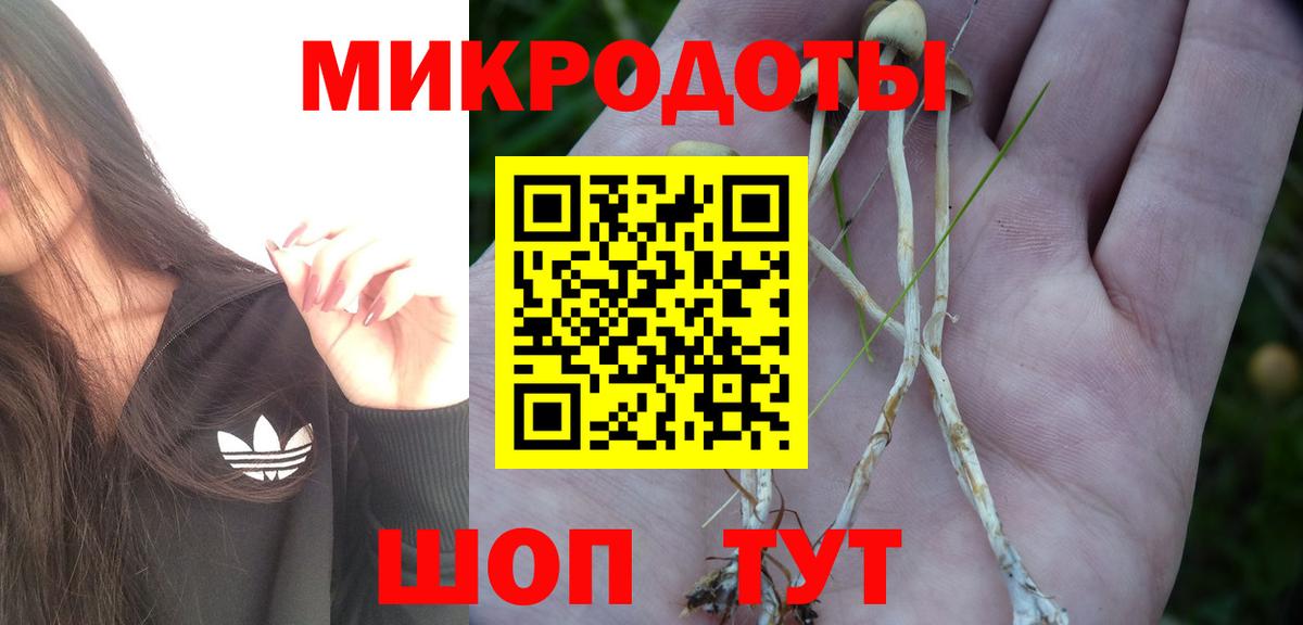Новомосковск  Галлюциногенные грибы мицелий  Вход с VPN  Псилоцибиновые грибы Psilocybine cubensis 