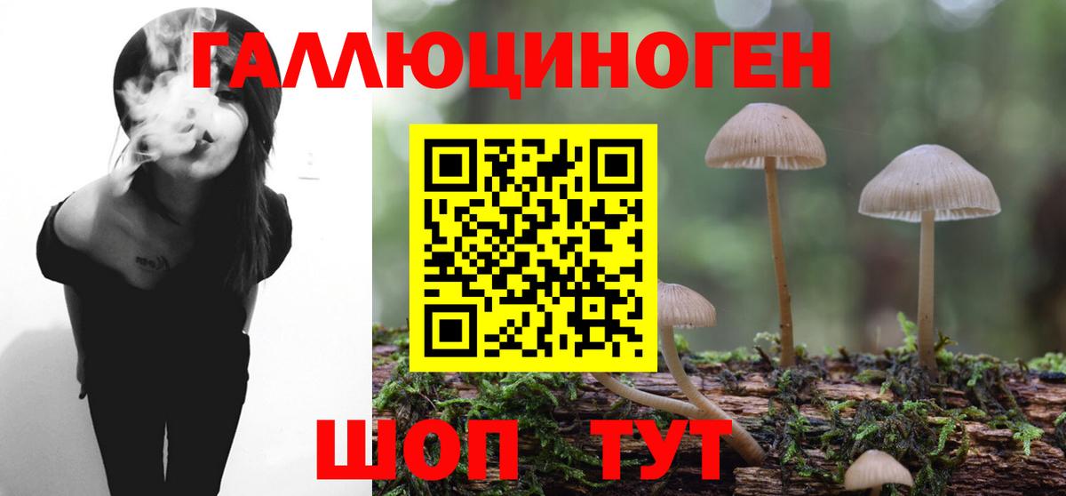 Кокаин Новомосковск
